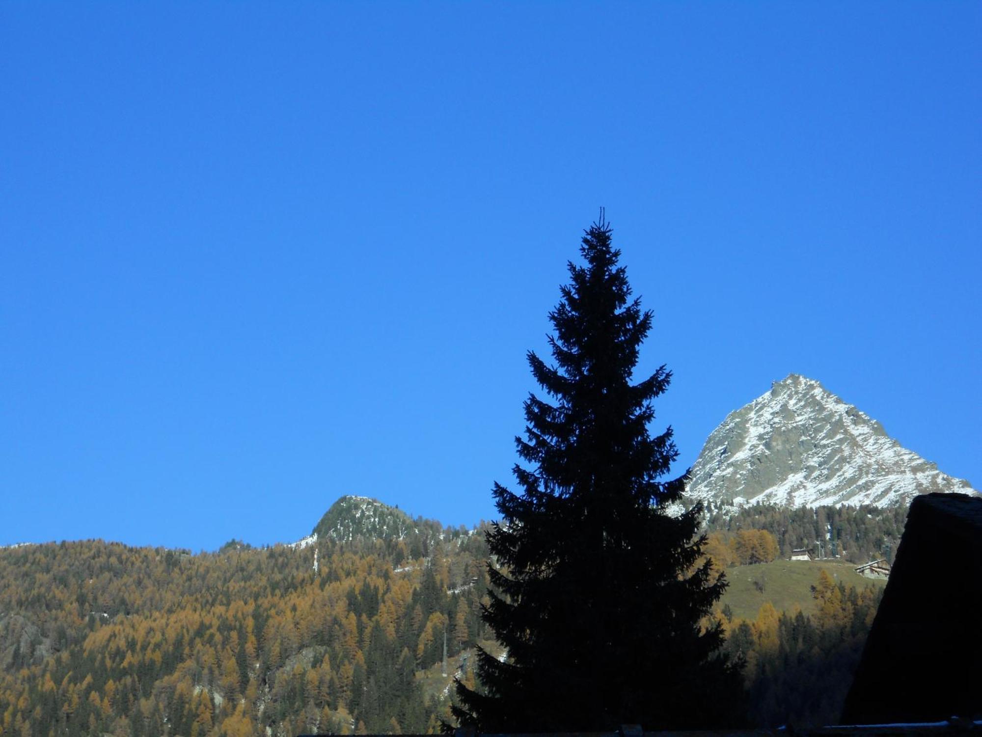 Affittacamere Petit Coeur Champoluc Exterior photo