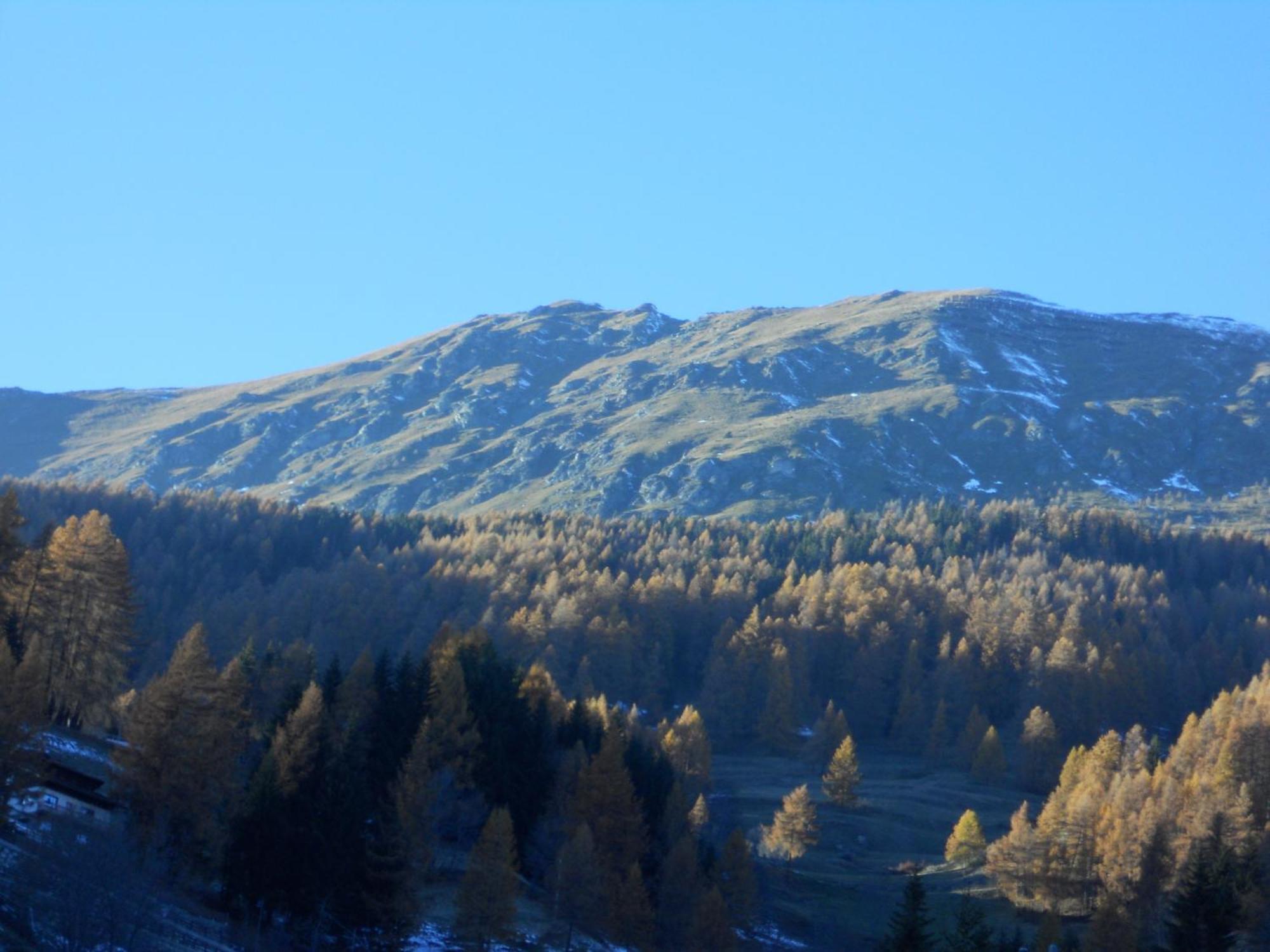 Affittacamere Petit Coeur Champoluc Exterior photo